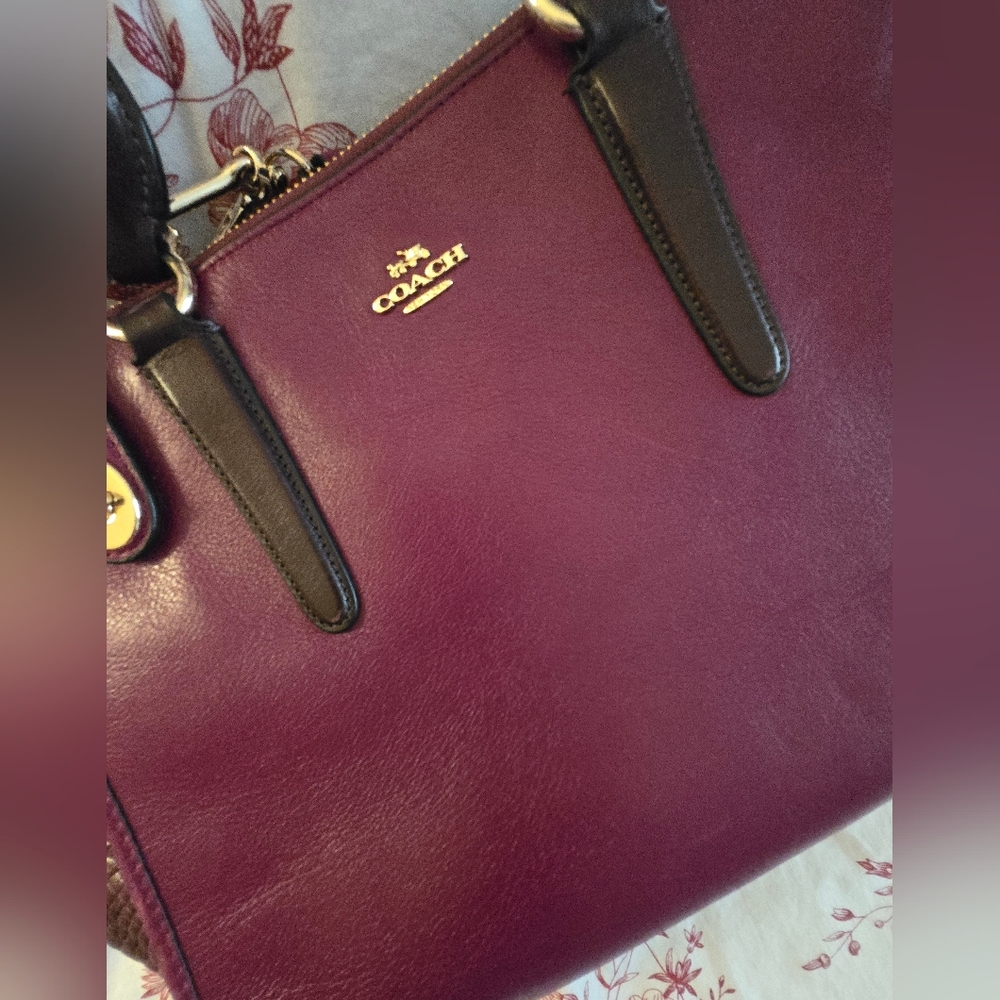 Coach Leather Bag With Crocodile Gussets